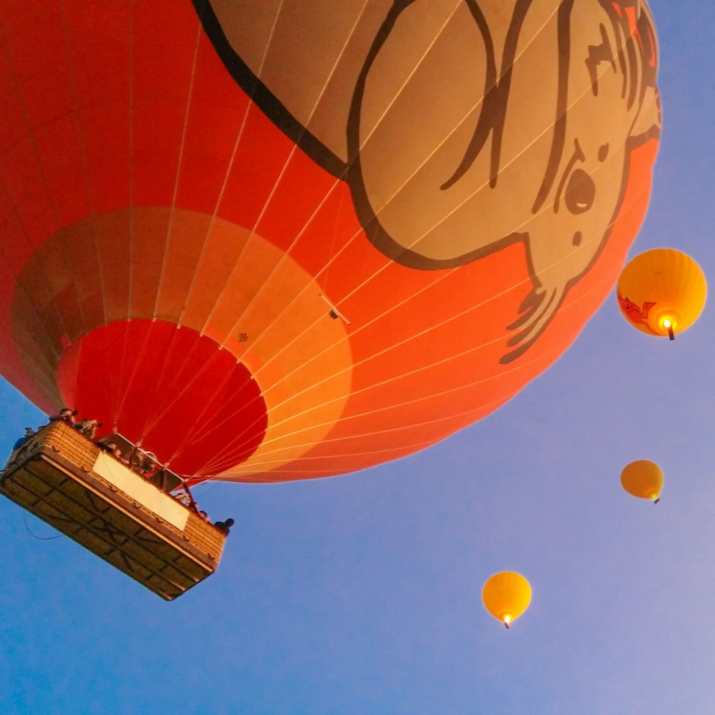 Cairns Classic Hot Air Balloon Ride (With Return transfers)