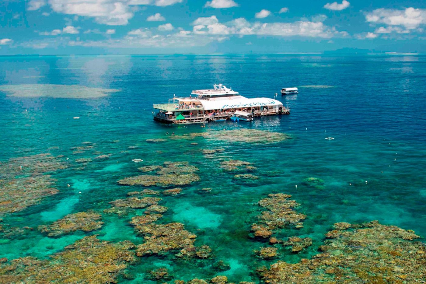 Reef Magic Pontoon + Diving Options