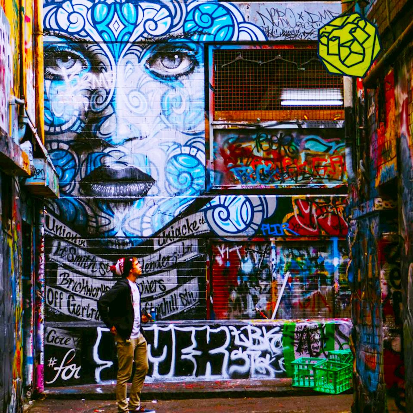 Melbourne Street Tours Melbourne CBD Street Art Walking Tour