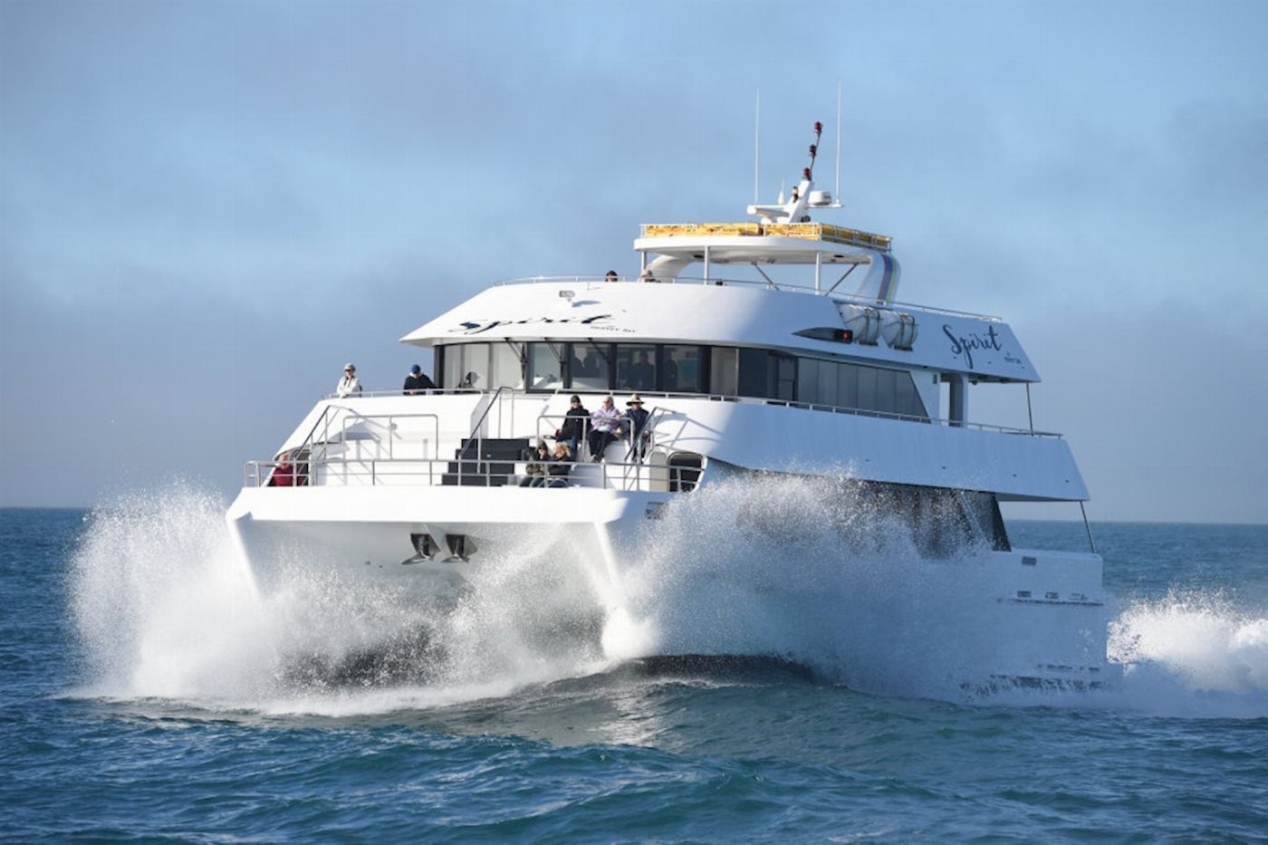 Spirit of Hervey Bay Whale Watching Cruise