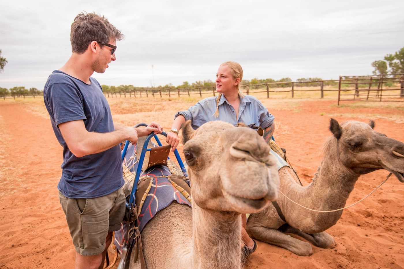 Adventure Tours (ATA) Uluru Tour with Kata Tjuta & Kings Canyon - Eco Tent (Yulara to Alice Springs) (formerly Uluru Adventure)