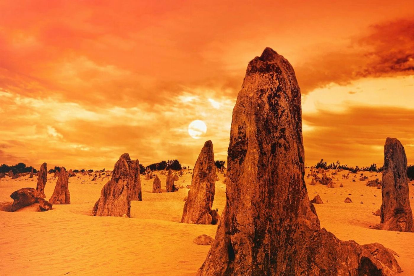Why Not Bus Perth to Broome 13 Day West Coast Tour