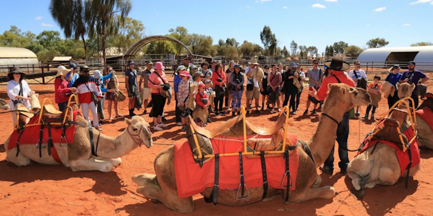 Uluru Camel Tours Camel Express
