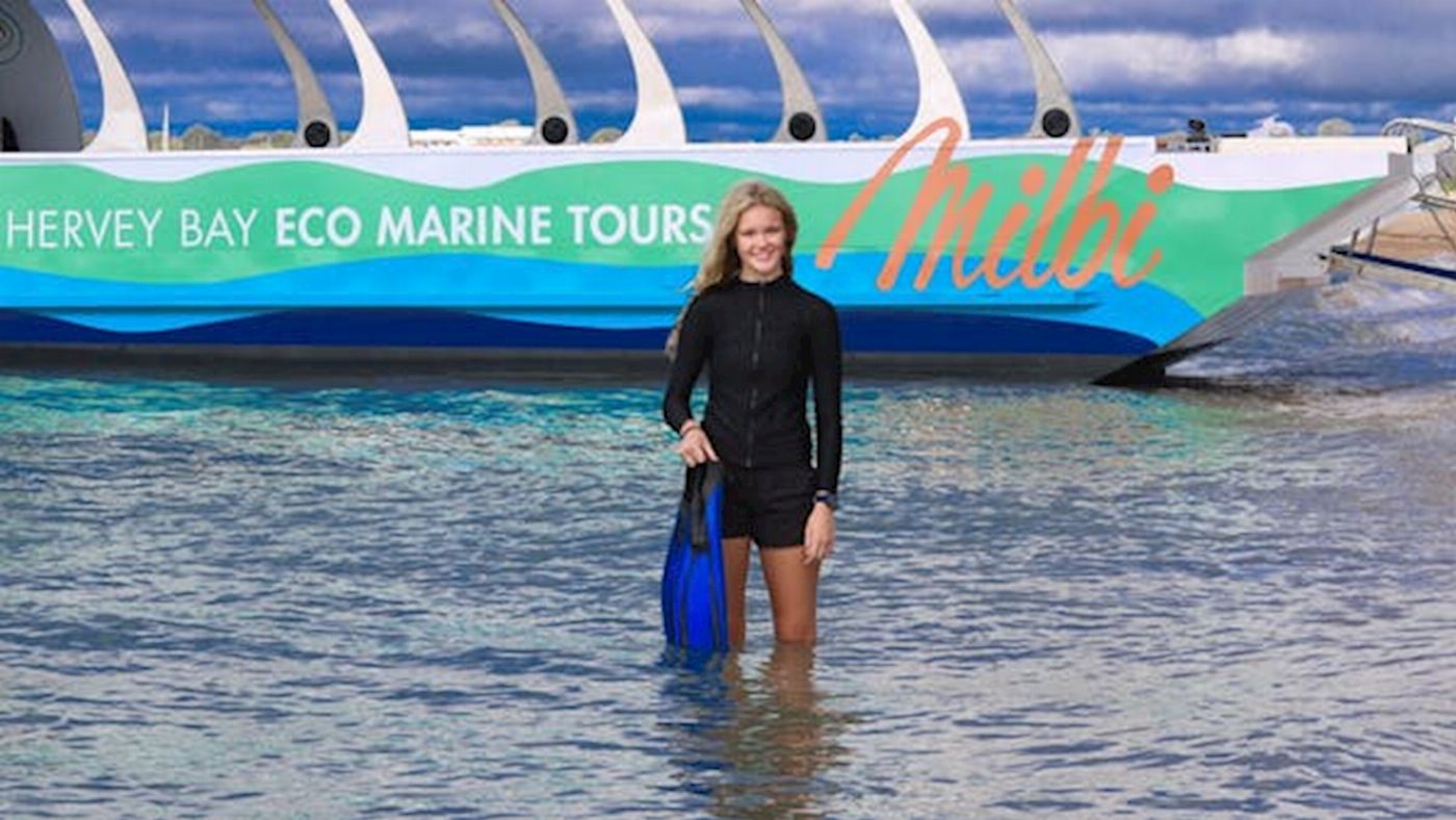 Hervey Bay Eco Marine Tours Turtle Discovery Tour