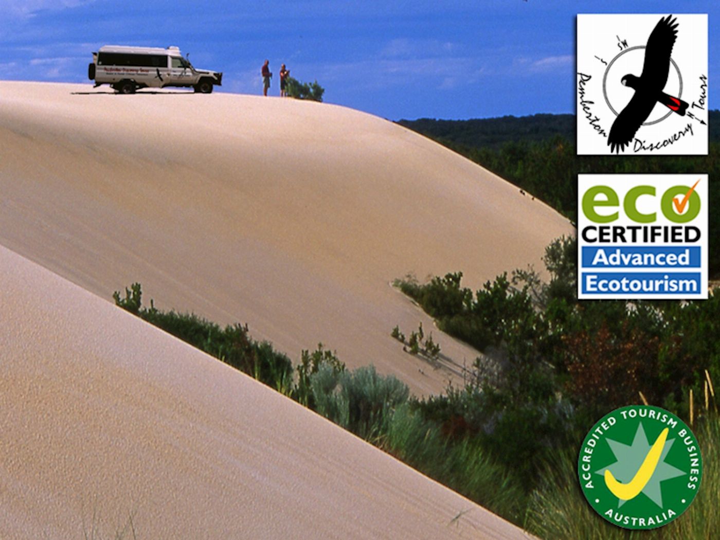 Pemberton Discovery Tours Beach & Forest Eco Adventure