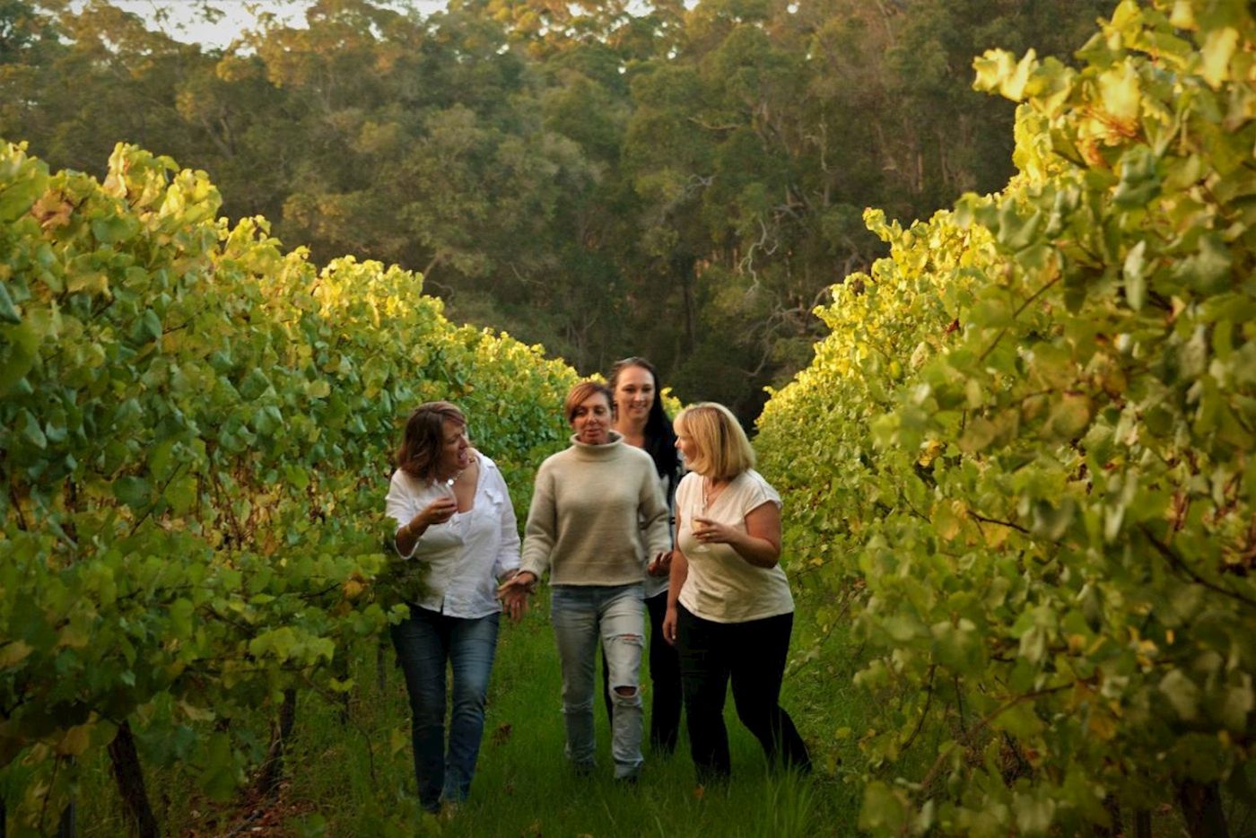Pemberton Discovery Tours Pemberton Wine Discovery Tour