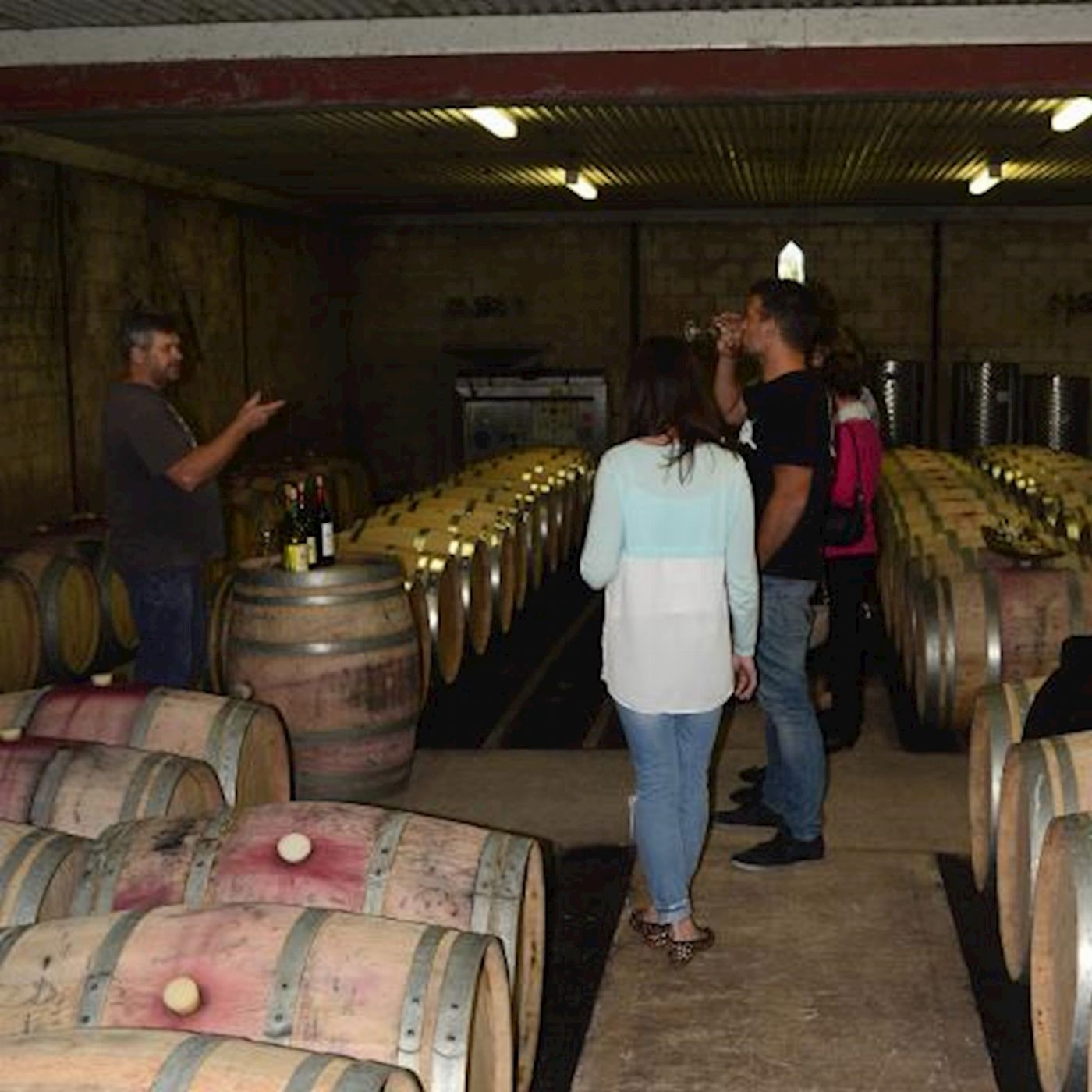 Pemberton Discovery Tours Pemberton Wine Discovery Tour