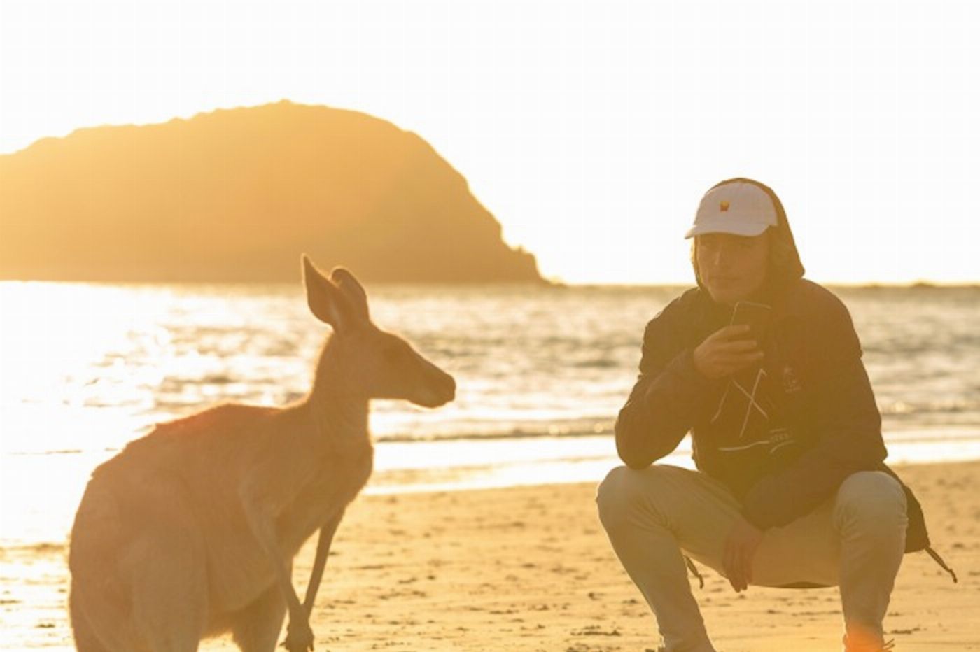 Mackay Adventure Beach Sunrise with the Wallabies