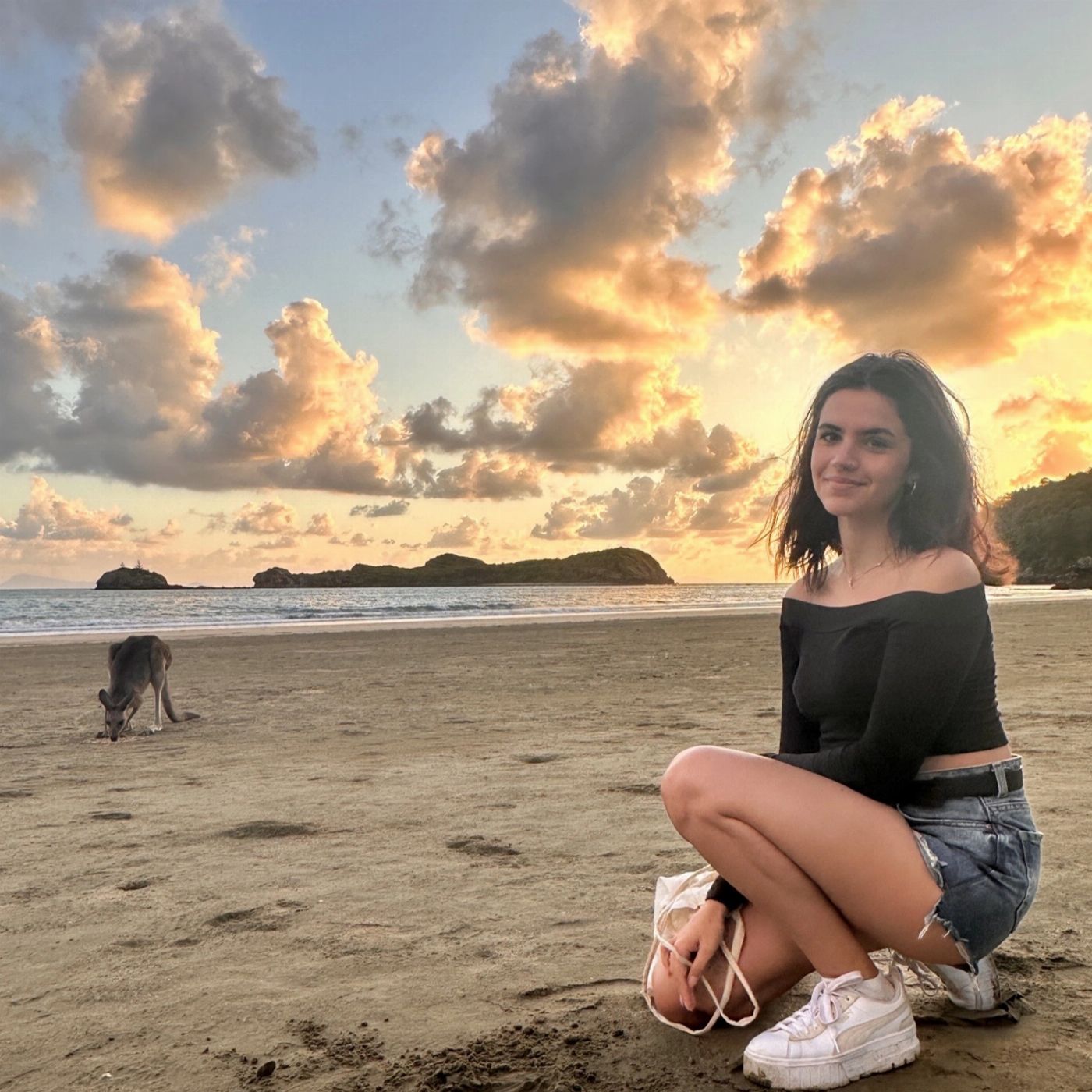 Mackay Adventure Beach Sunrise with the Wallabies