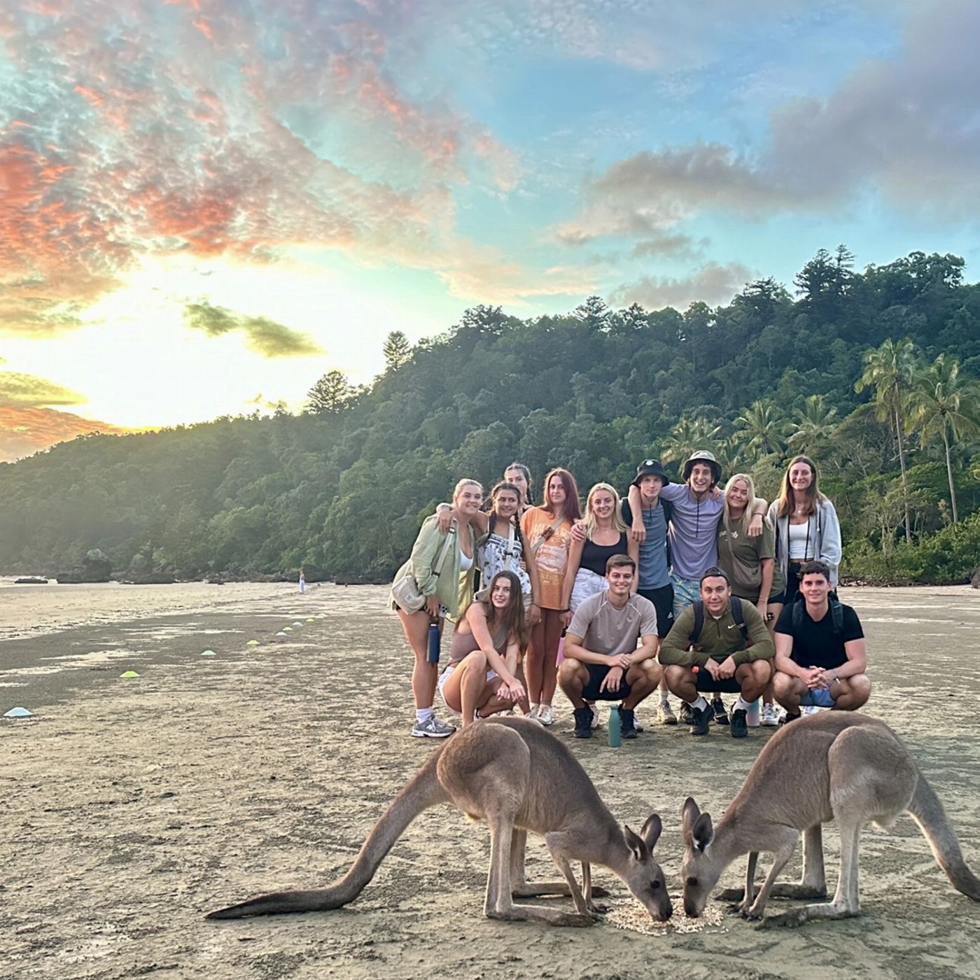 Mackay Adventure Beach Sunrise with the Wallabies