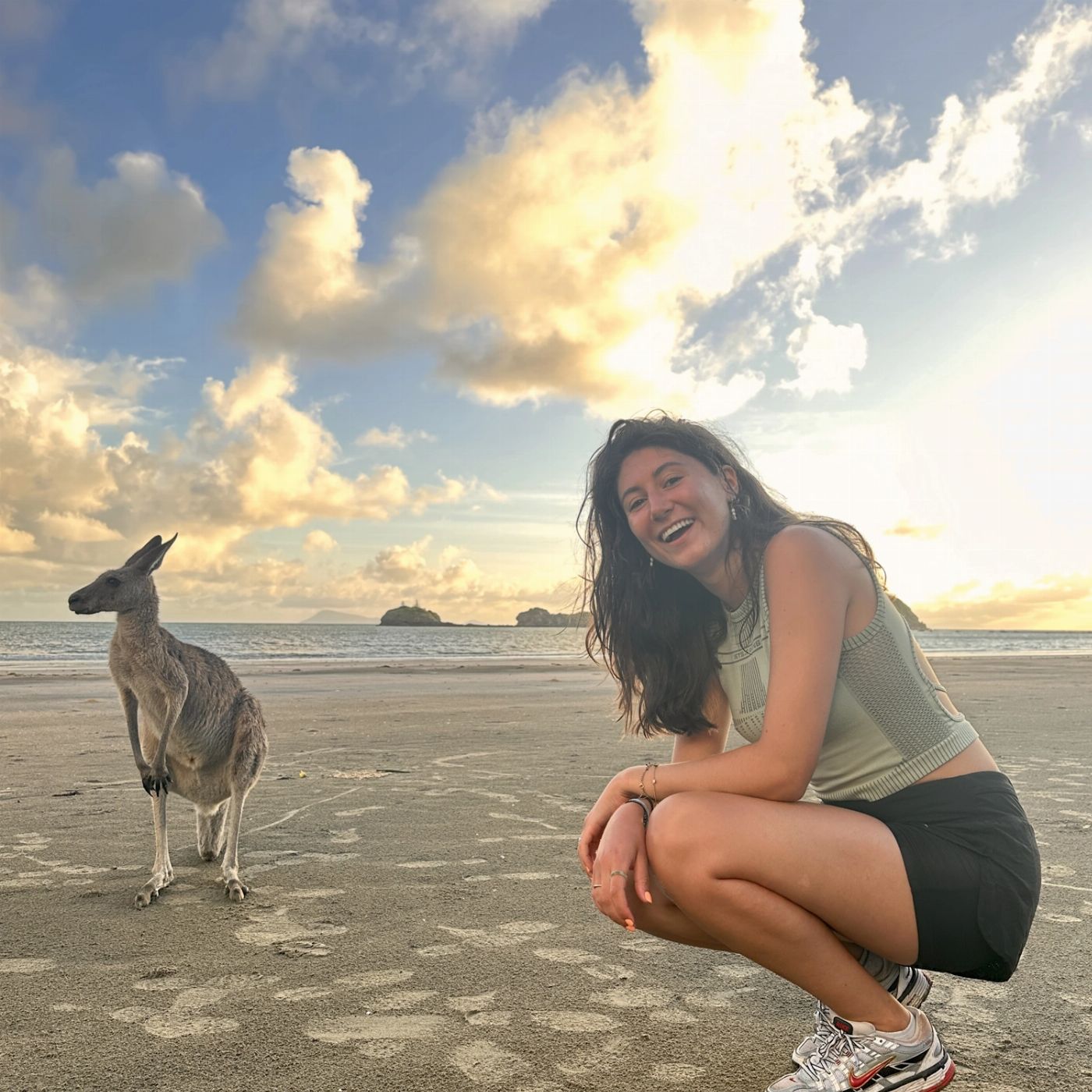 Mackay Adventure Beach Sunrise with the Wallabies