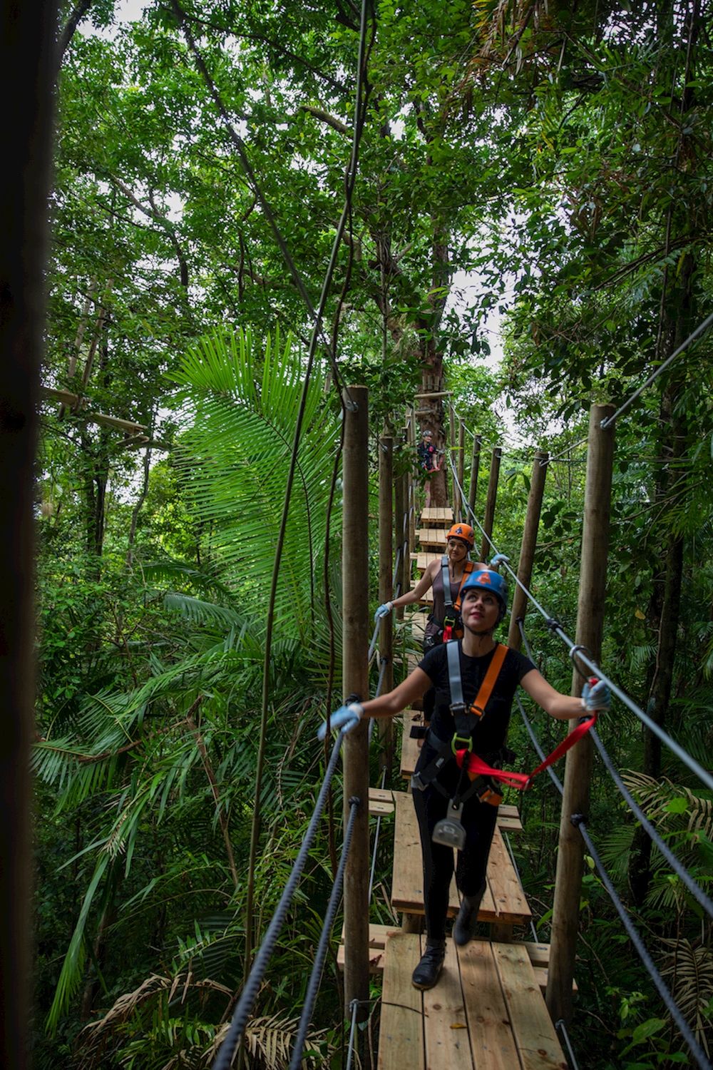 Treetops Adventure Cape Tribulation Zipline Tour