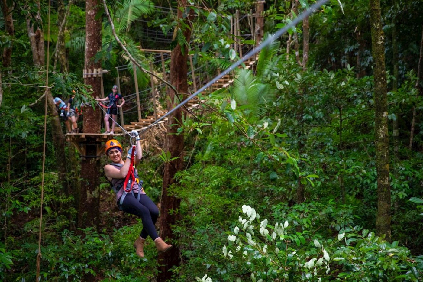 Treetops Adventure Cape Tribulation Zipline Tour