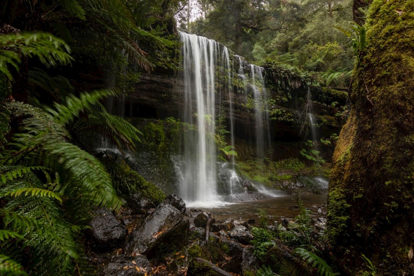 Adventure Trails Tasmania Wilderness and Whiskey Walks