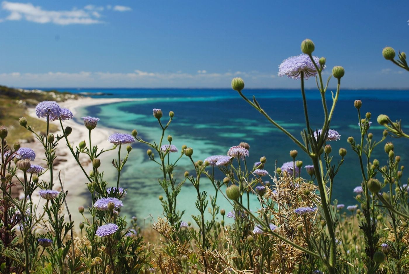 Australian Pinnacle Tours Rottnest Island Bayseeker Tour