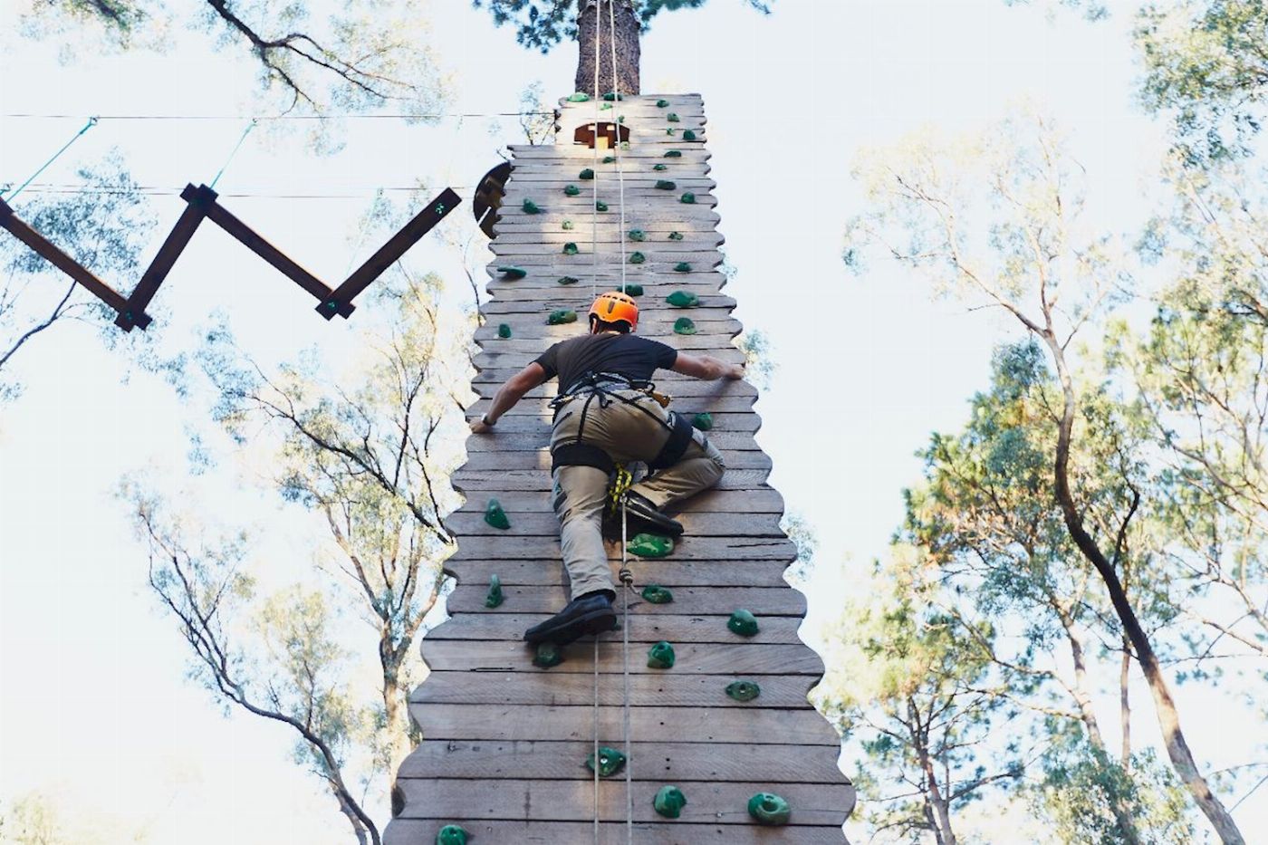 Forest Adventures South West Forest Adventures Park Entry