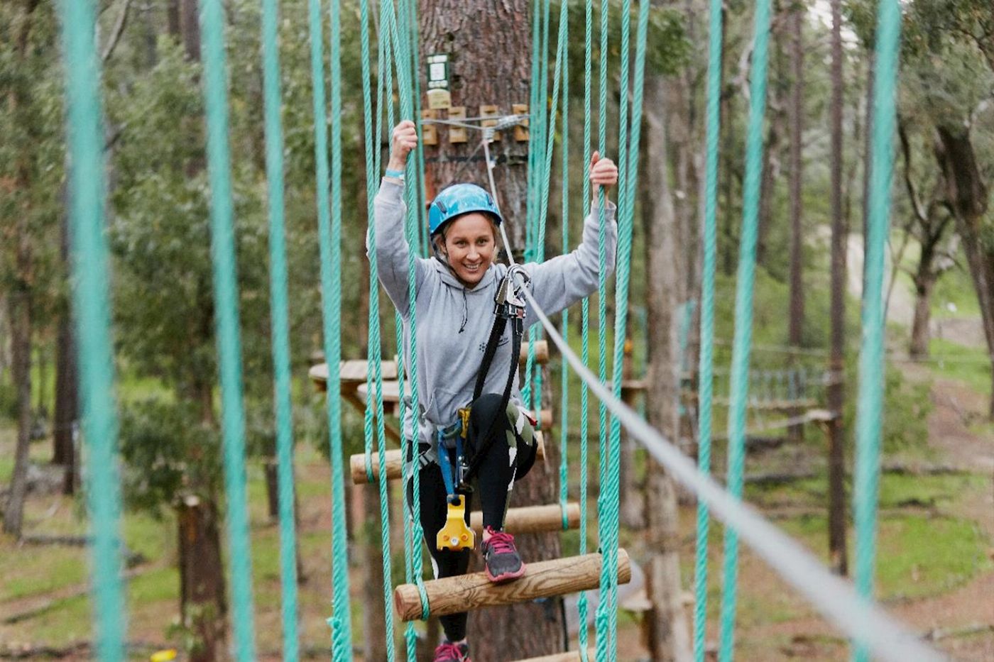 Forest Adventures South West Forest Adventures Park Entry