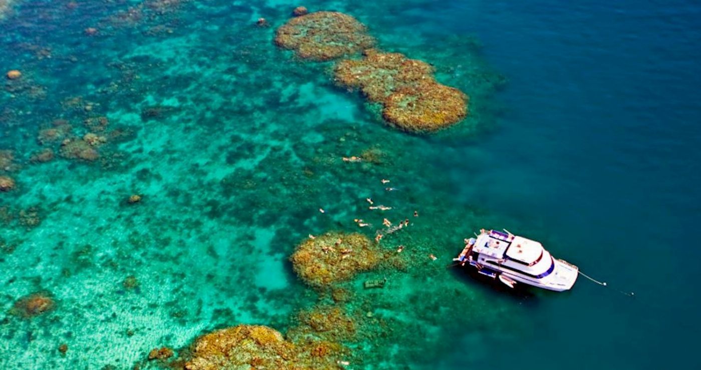 Outer Barrier Reef Day Trip - Reef Experience