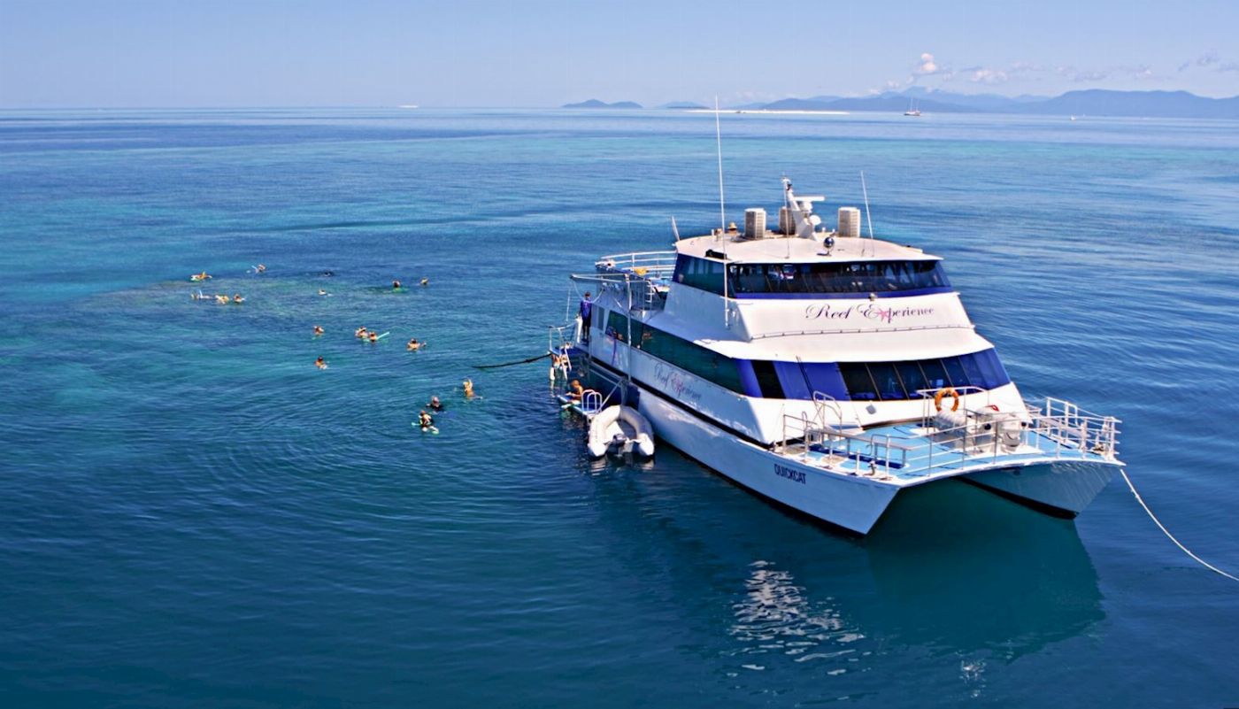 Outer Barrier Reef Day Trip - Reef Experience