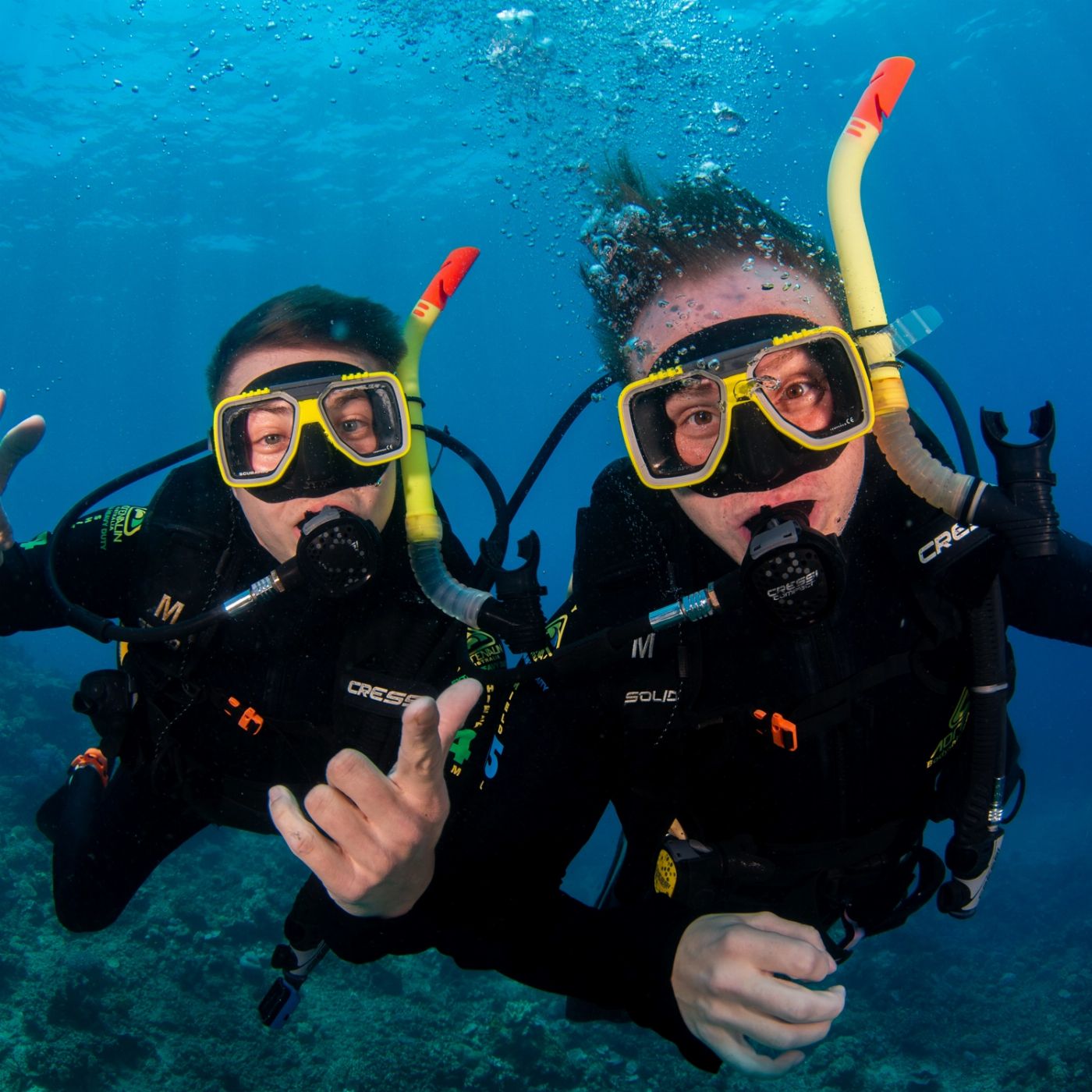 Outer Barrier Reef Day Trip - Reef Experience