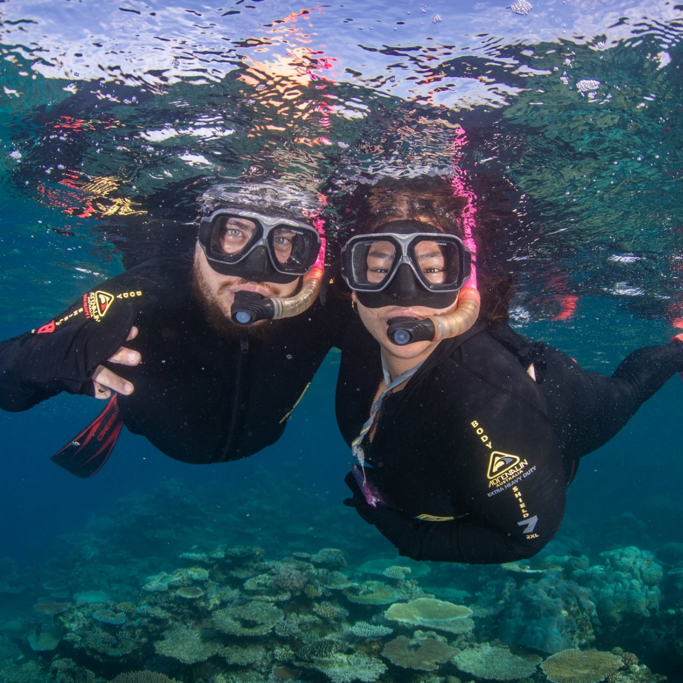 Outer Barrier Reef Day Trip - Reef Experience