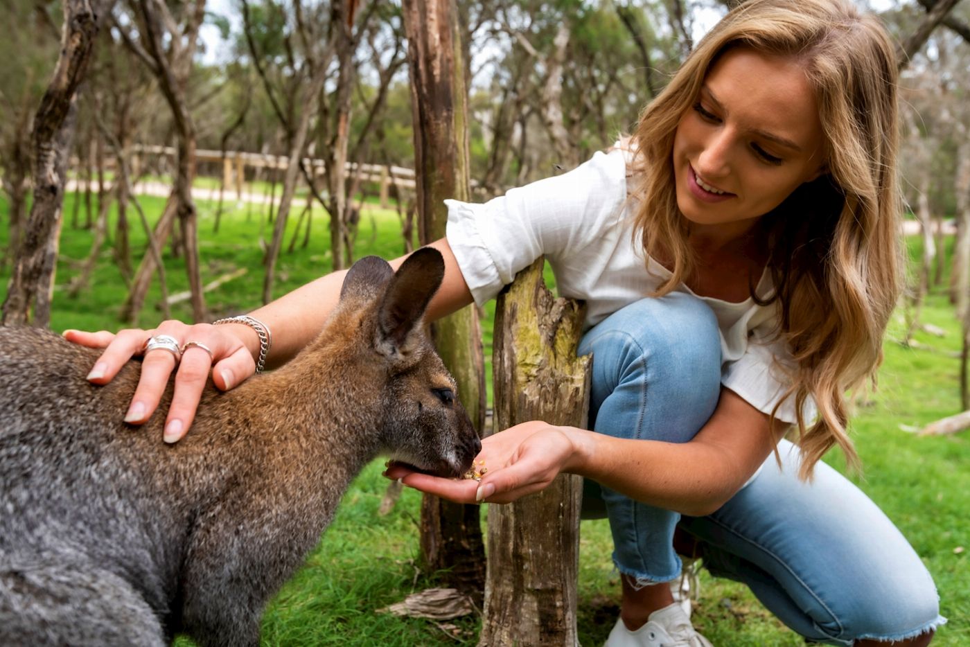 Explore Australia Penguins & Wildlife Nature Experience