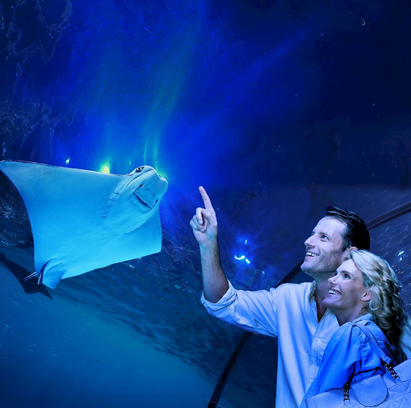 Cairns Aquarium Aquarium by Twilight Tour