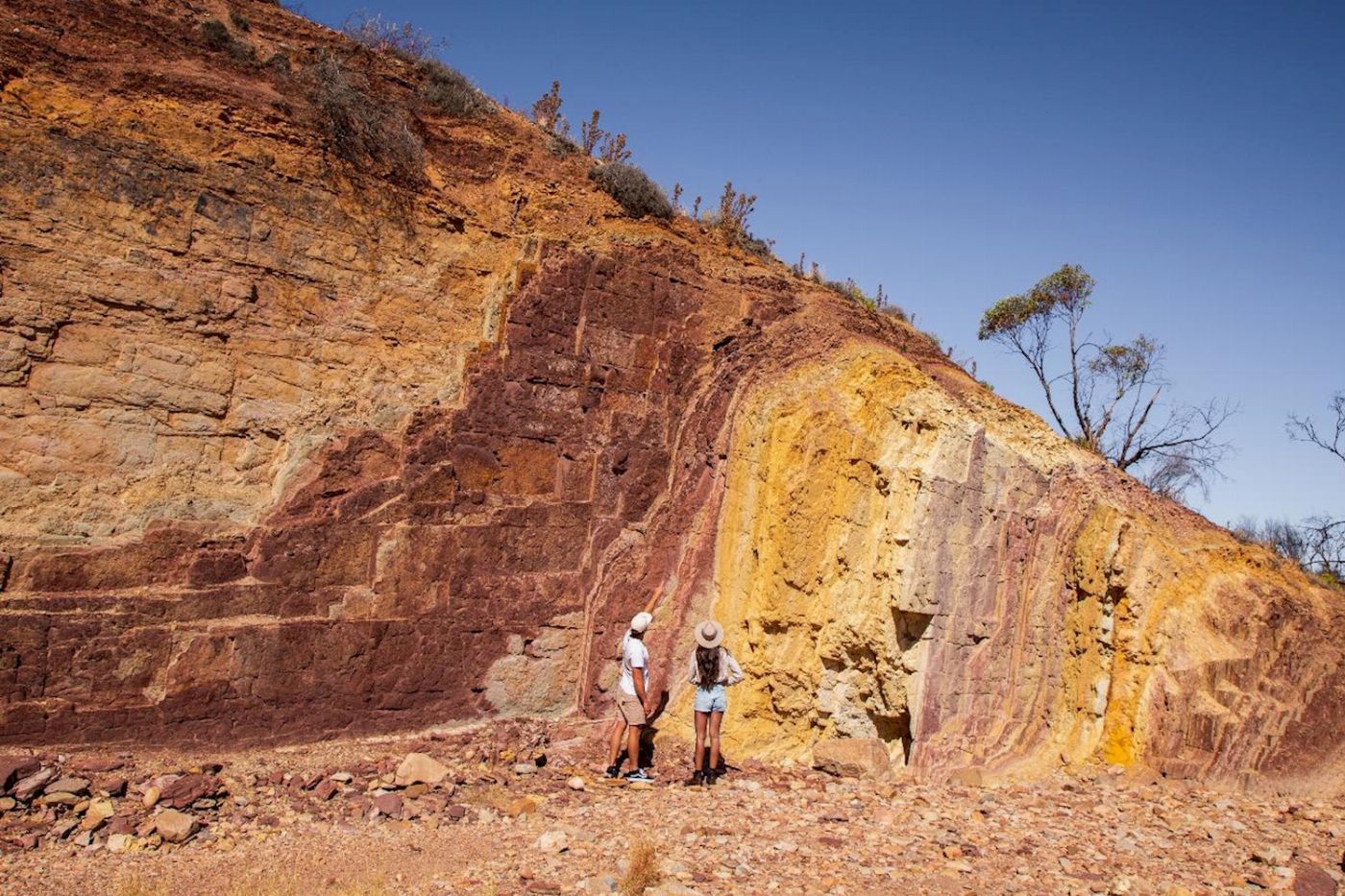 Autopia Tours West MacDonnell Ranges Tjoritja Tour