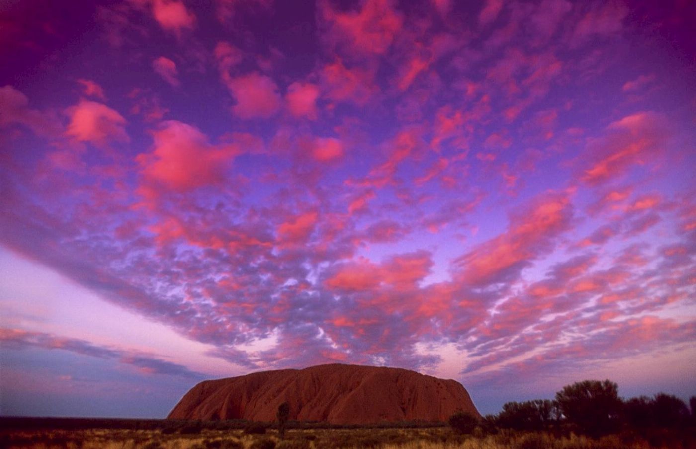 Autopia Tours Red Centre Uluru & Kings Canyon - Eco Tent Adventure (from Alice Springs / ends Alice Springs or Yulara)