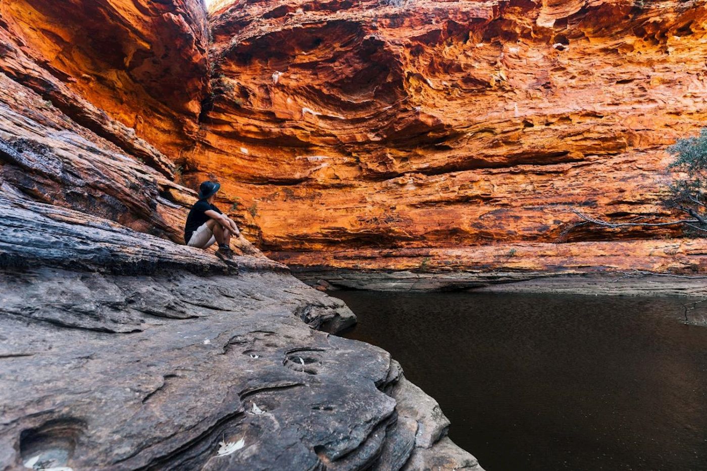 Autopia Tours Red Centre Uluru & Kings Canyon - Eco Tent Adventure (from Alice Springs / ends Alice Springs or Yulara)