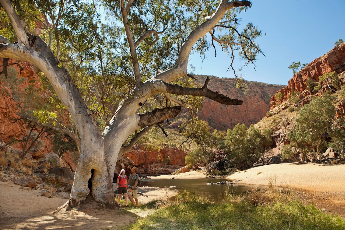 Autopia Tours Uluru, Kings Canyon & West MacDonnell - 4WD Eco Tent Adventure (from Yulara / ends Alice Springs)