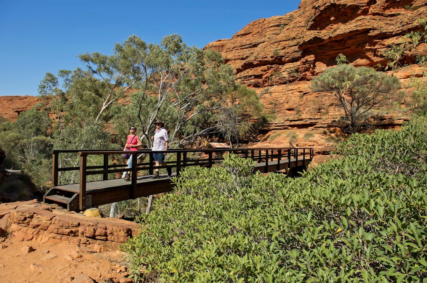 Autopia Tours Uluru-Kata Tjuta & Kings Canyon - Eco Tent Adventure (from Yulara / ends Yulara or Alice Springs)