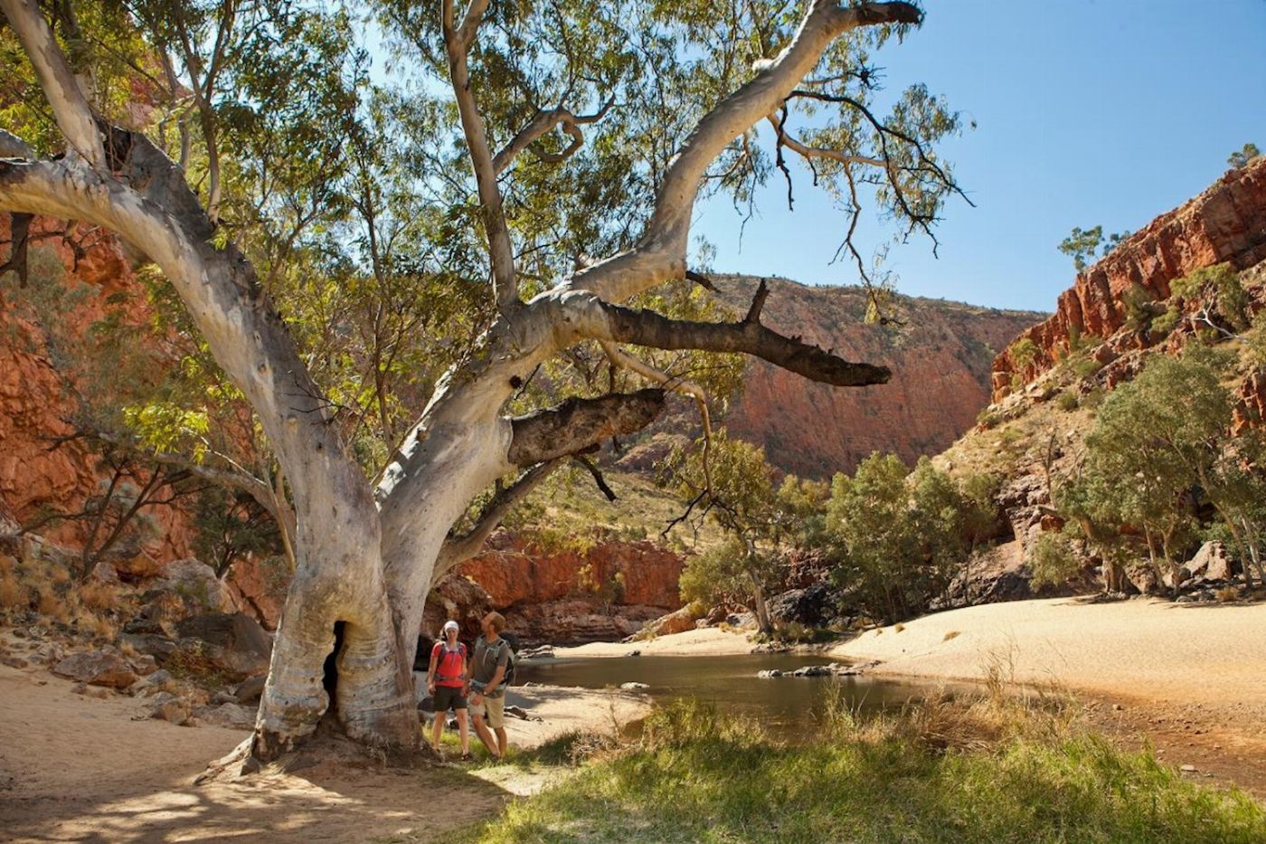 Autopia Tours Uluru, Kings Canyon & West MacDonnell - 4WD Swag Adventure (from Yulara / ends Alice Springs)