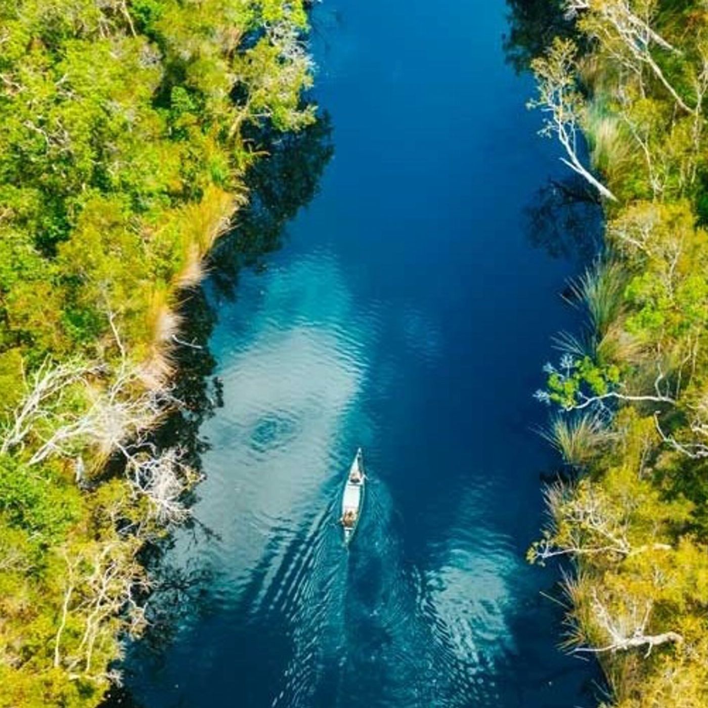 Everglades Eco Safaris Everglades Explorer Tour
