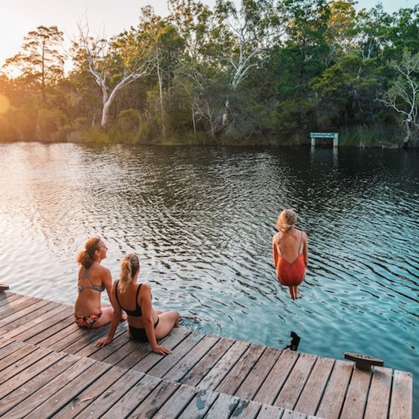 Everglades Eco Safaris Everglades Explorer Tour