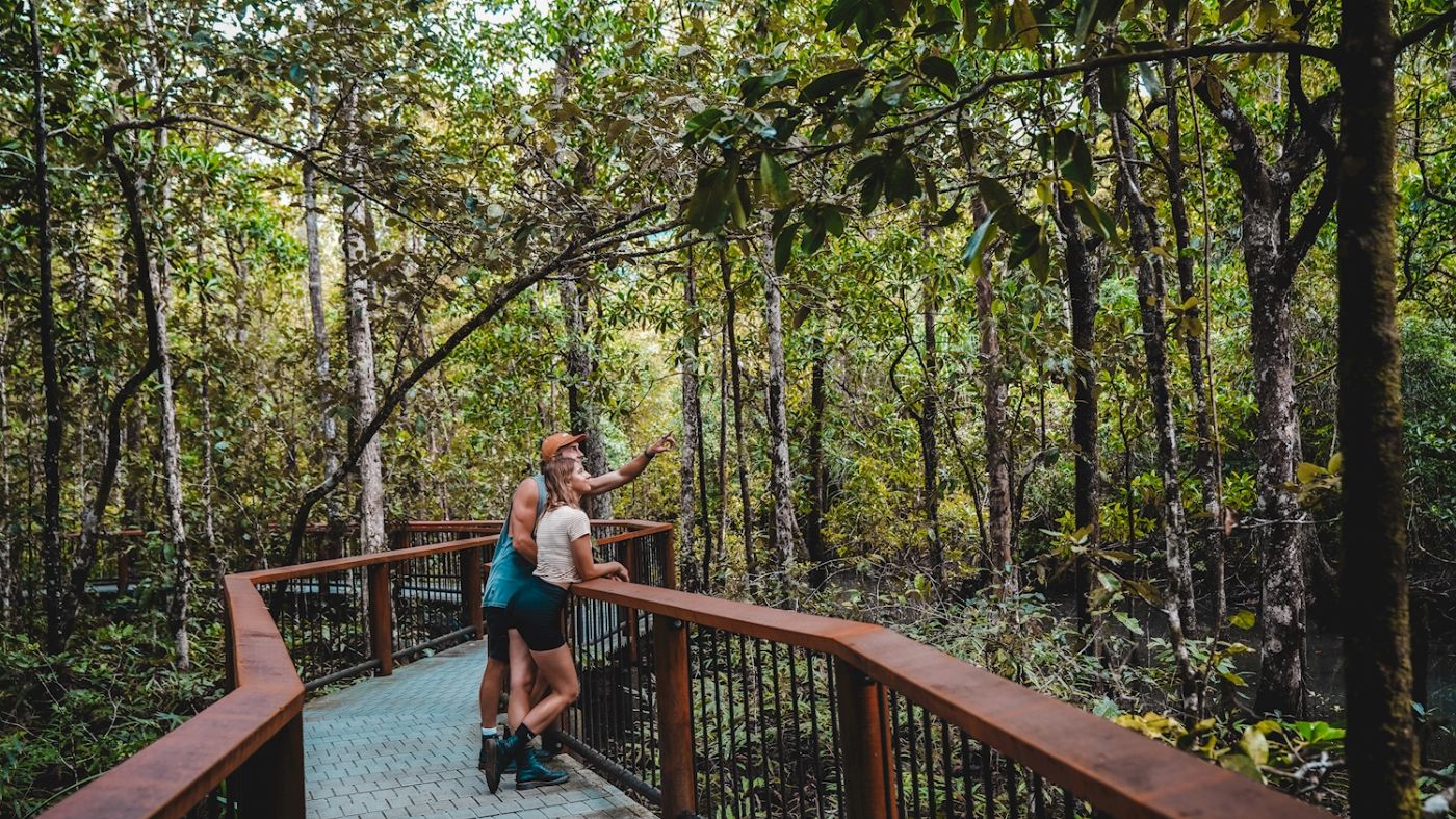 Far North Escapes Private 1 Day Private Daintree Tour - Single