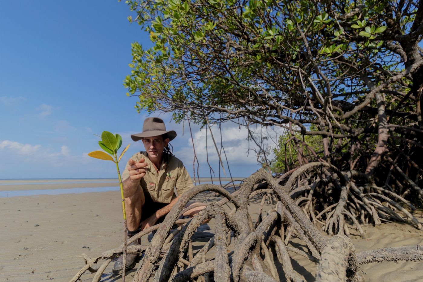 Far North Escapes Private 1 Day Private Daintree Tour - Single