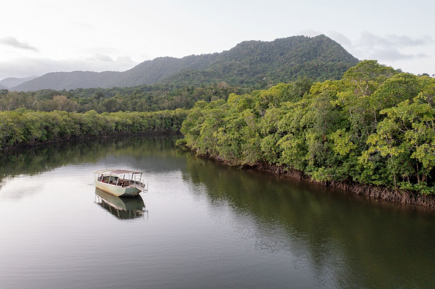 Far North Escapes Private 1 Day Private Daintree Tour - Single