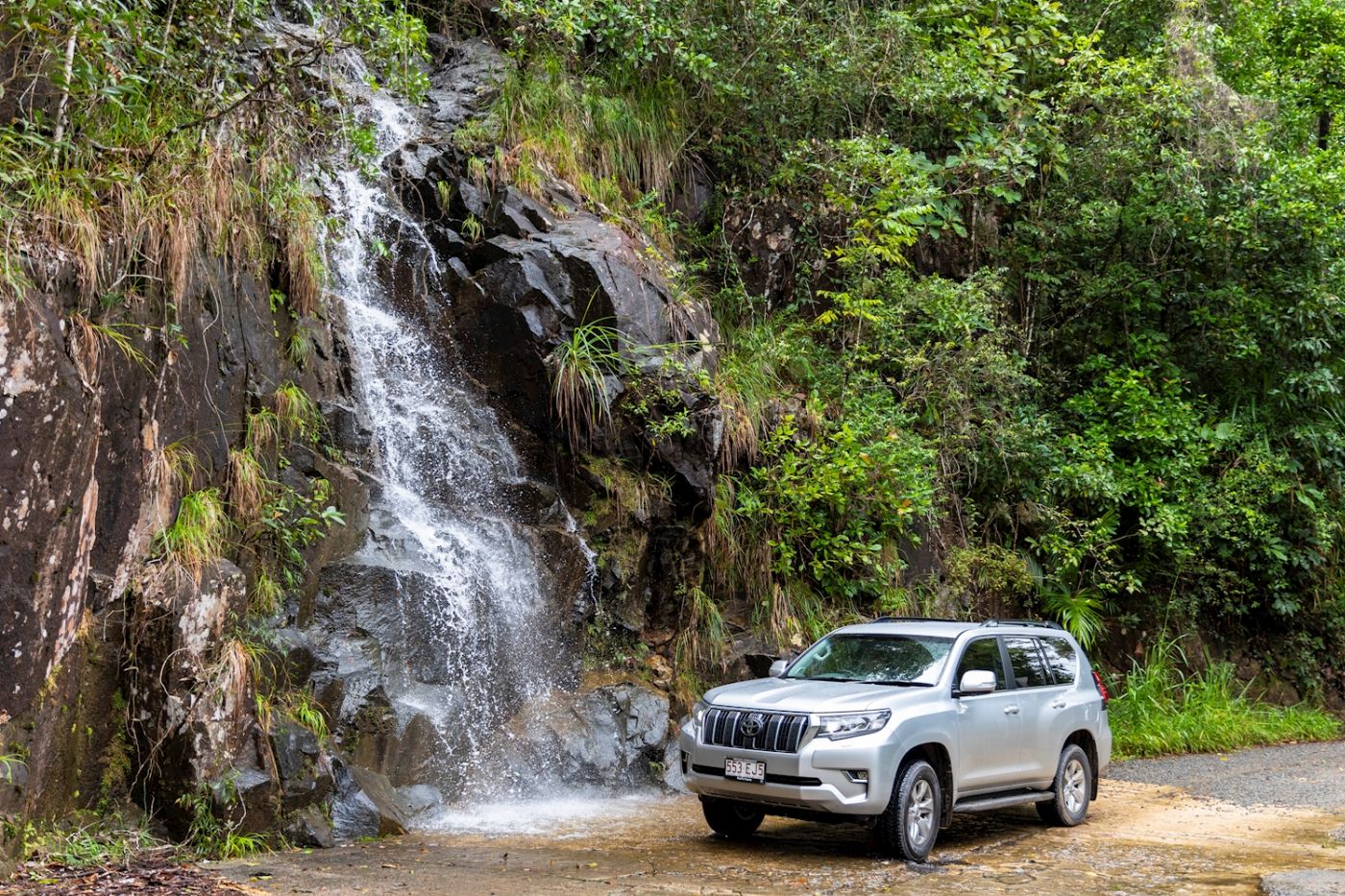 Far North Escapes Half Day 4WD Daintree Tour