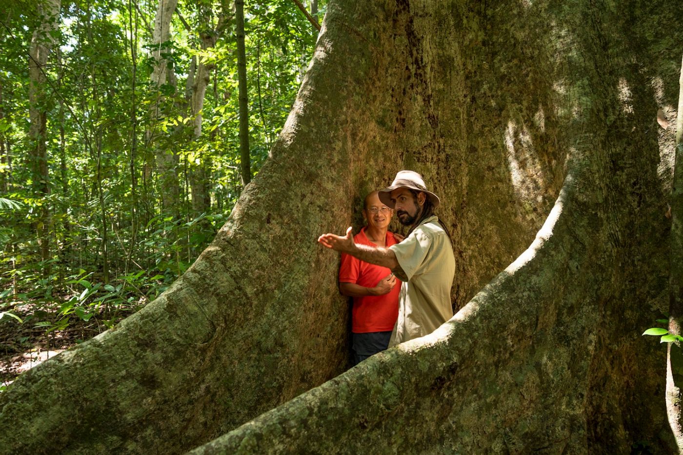 Far North Escapes Half Day 4WD Daintree Tour