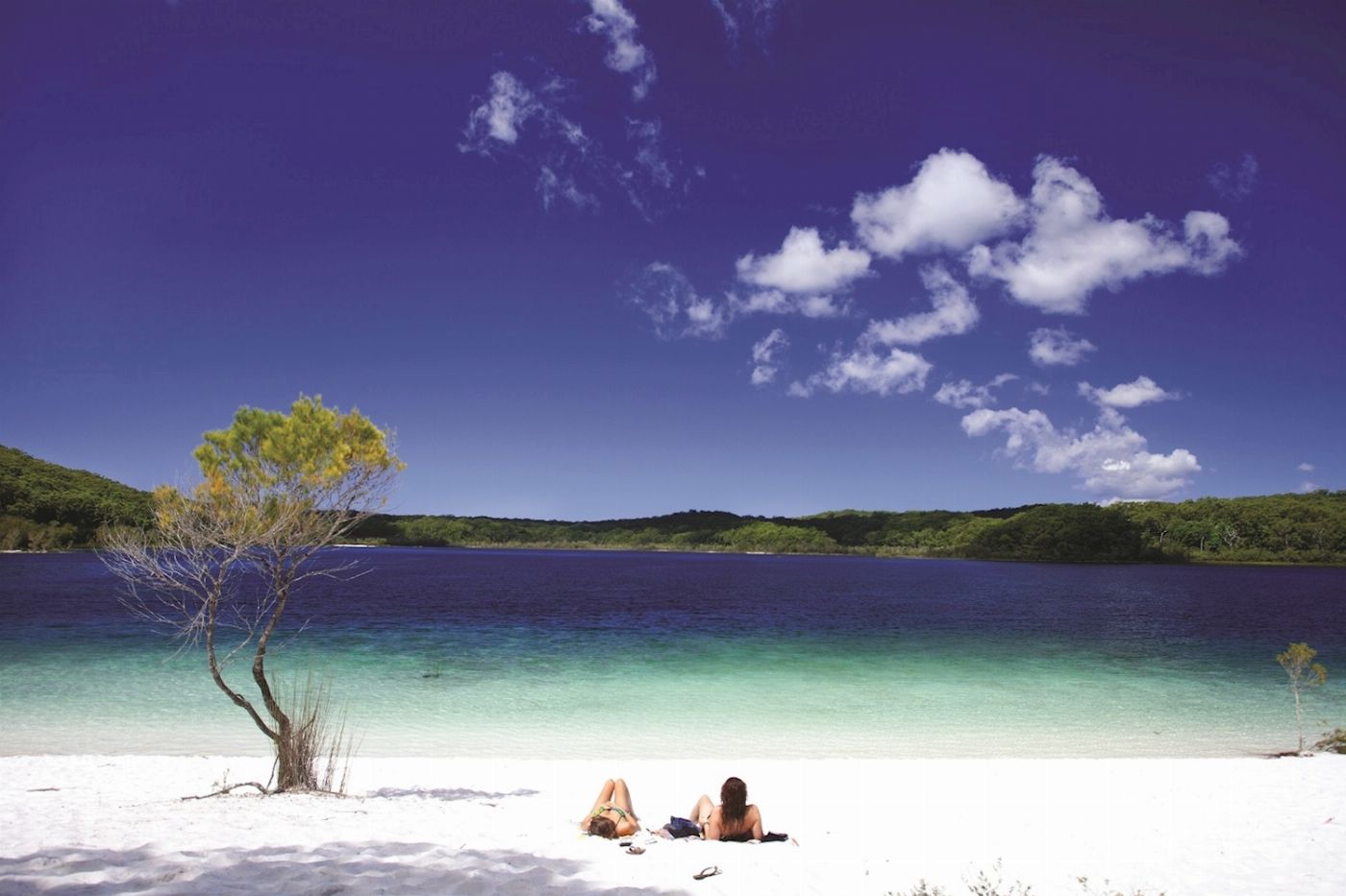 K'gari Explorer Tours K'gari Overnight Tour (ex Rainbow Beach) - Private Double / Twin
