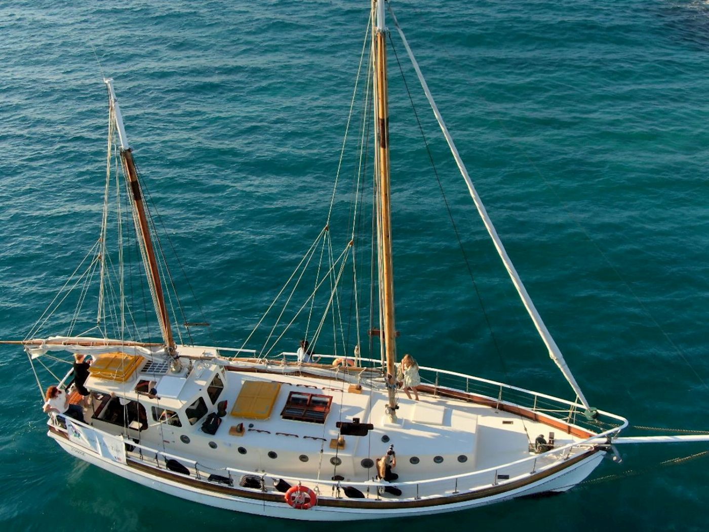 Saltwater Eco Tours Signature Bushtucker Cruise