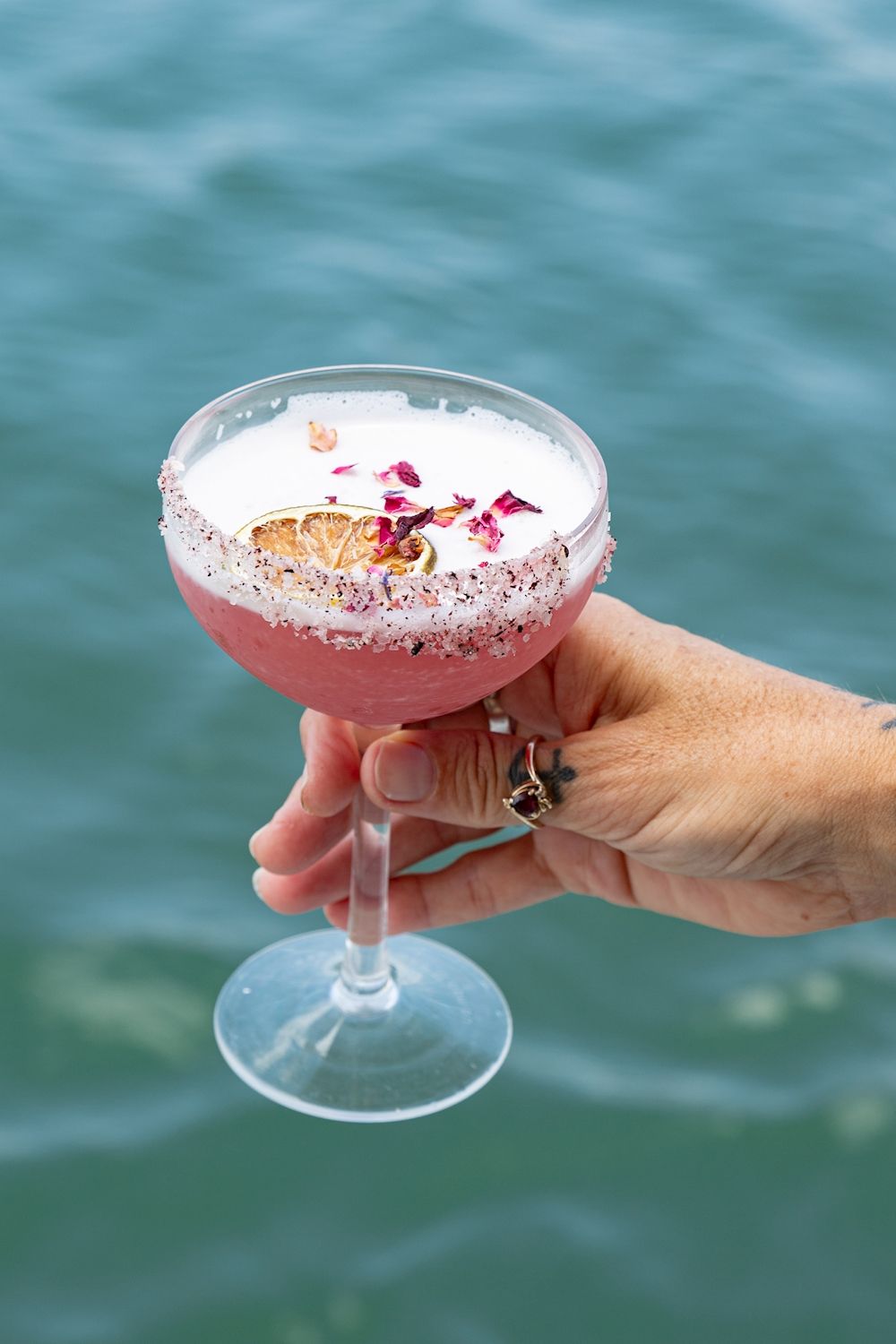 Saltwater Eco Tours Signature Bushtucker Cruise