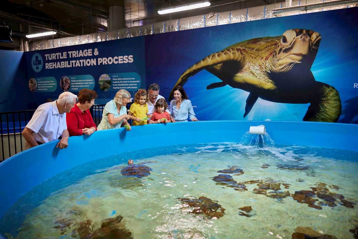 Cairns Aquarium General Admission & Turtle Tour