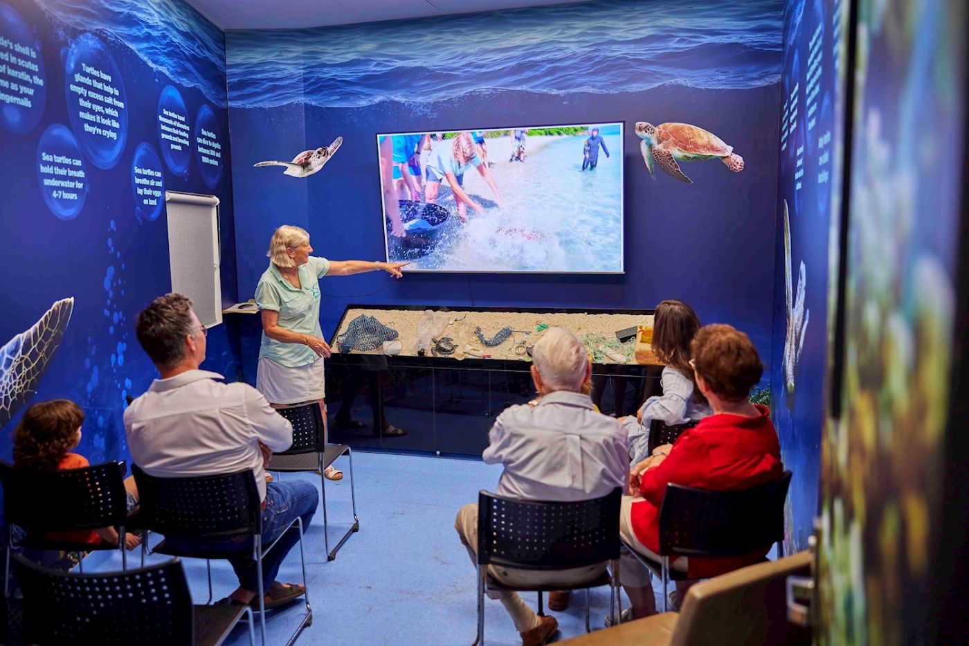 Cairns Aquarium General Admission & Turtle Tour