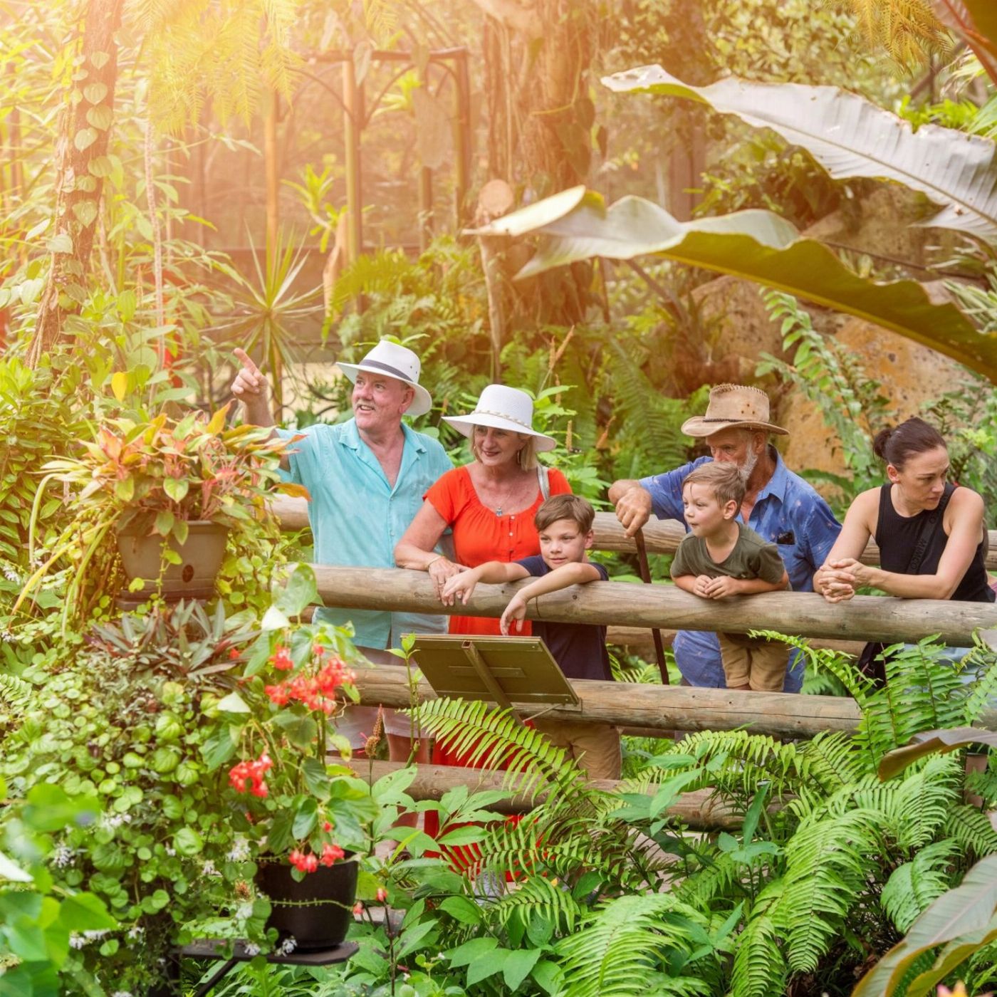 Kuranda & Outback Tours Kuranda Tour with Skyrail Cableway