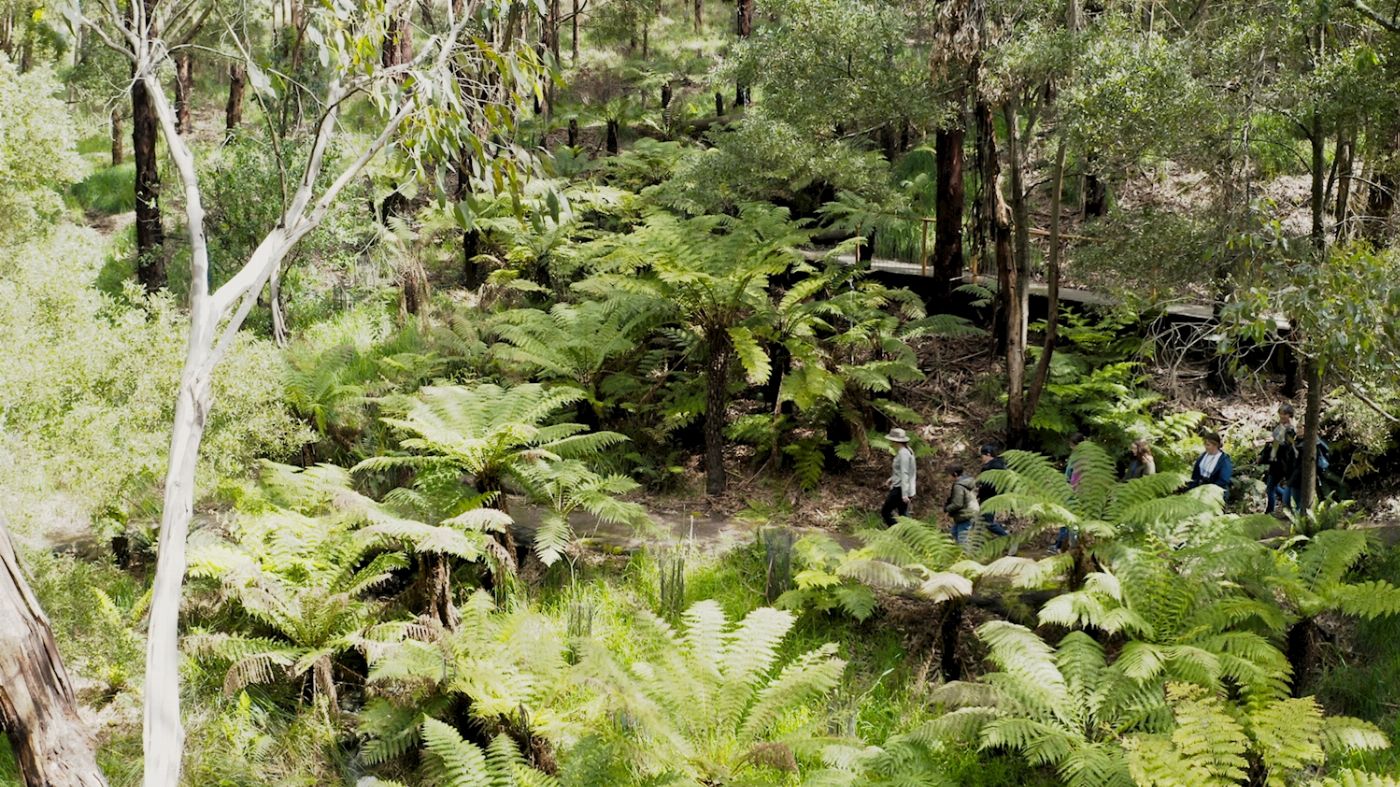 Wildlife Wonders Walk with Wildlife - Guided Tour