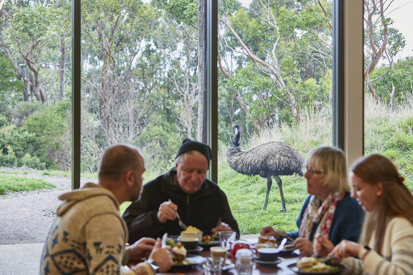Wildlife Wonders Walk with Wildlife - Guided Tour