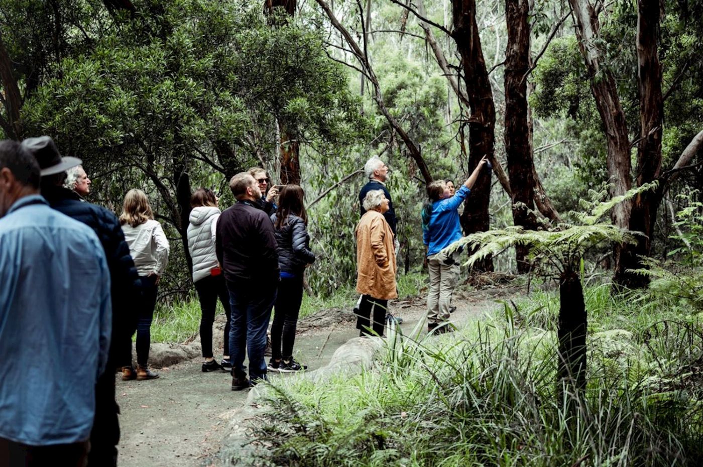 Wildlife Wonders Dusk Discovery Tour