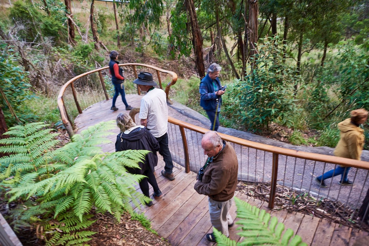 Wildlife Wonders Dusk Discovery Tour